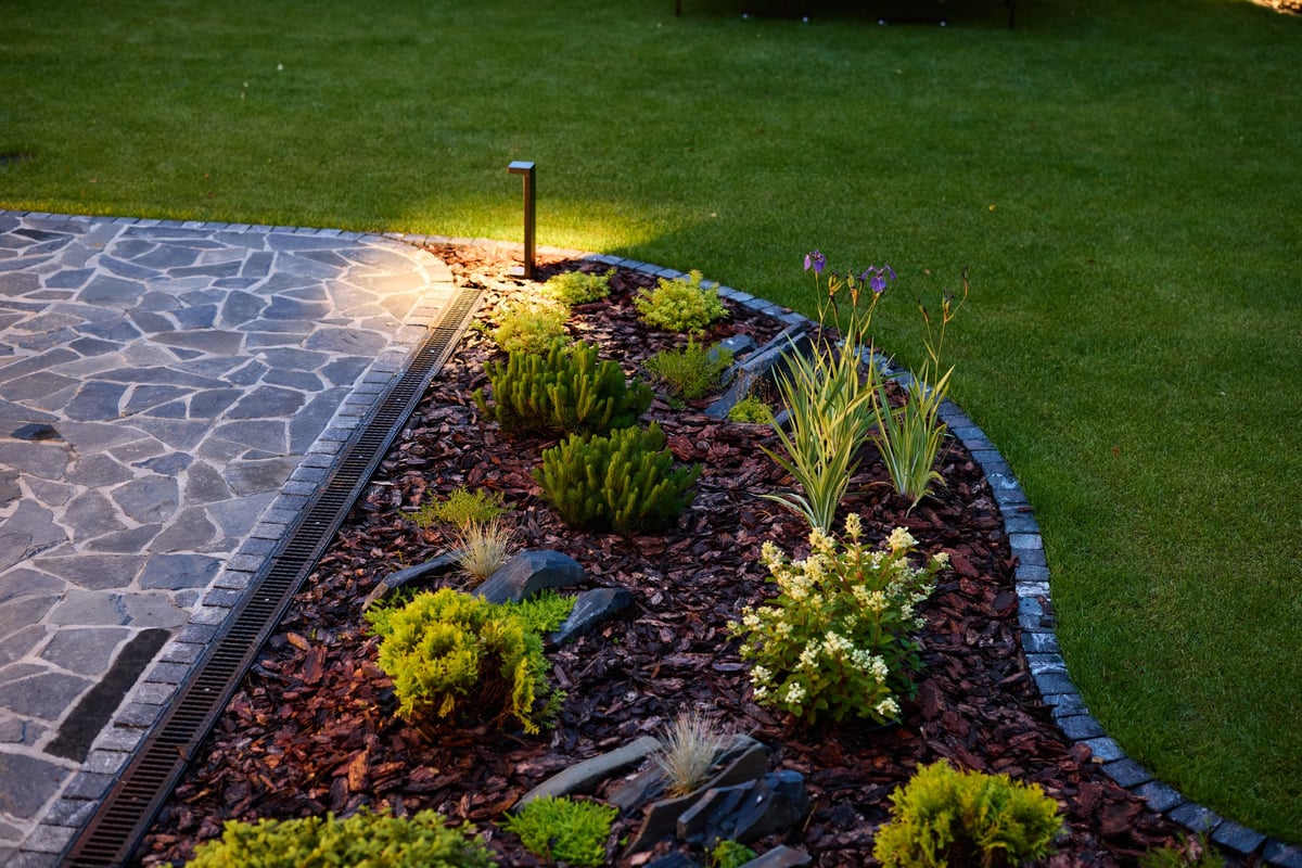 Garden with landscape accent lighting at night