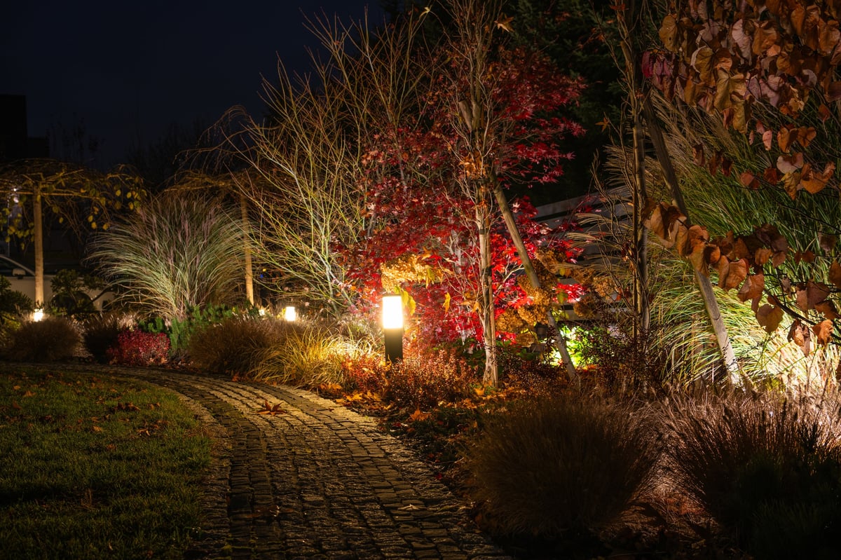 Winding garden path with soft lighting highlighting autumn leaves
