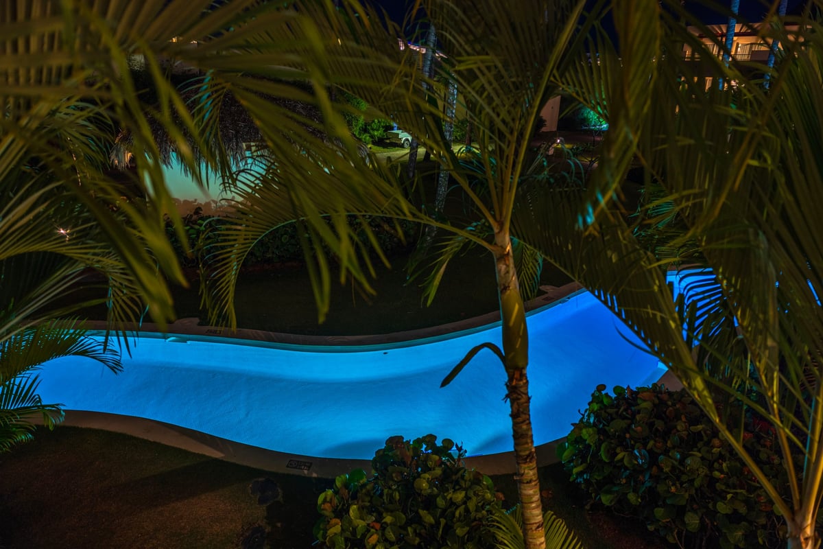 Tropical swimming pool glowing with vibrant colors at night surrounded by palm trees