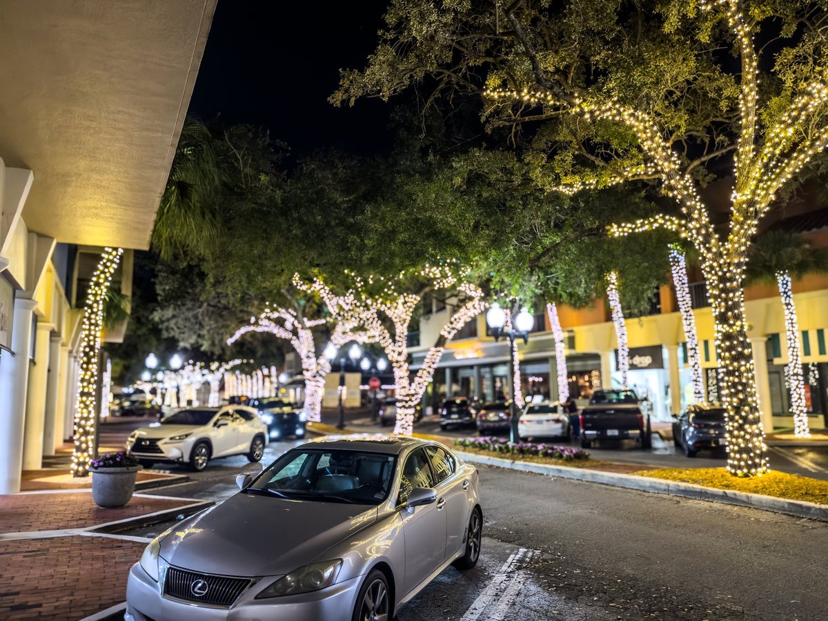 Trees wrapped with fairy lights along a main street to create a special festive setting