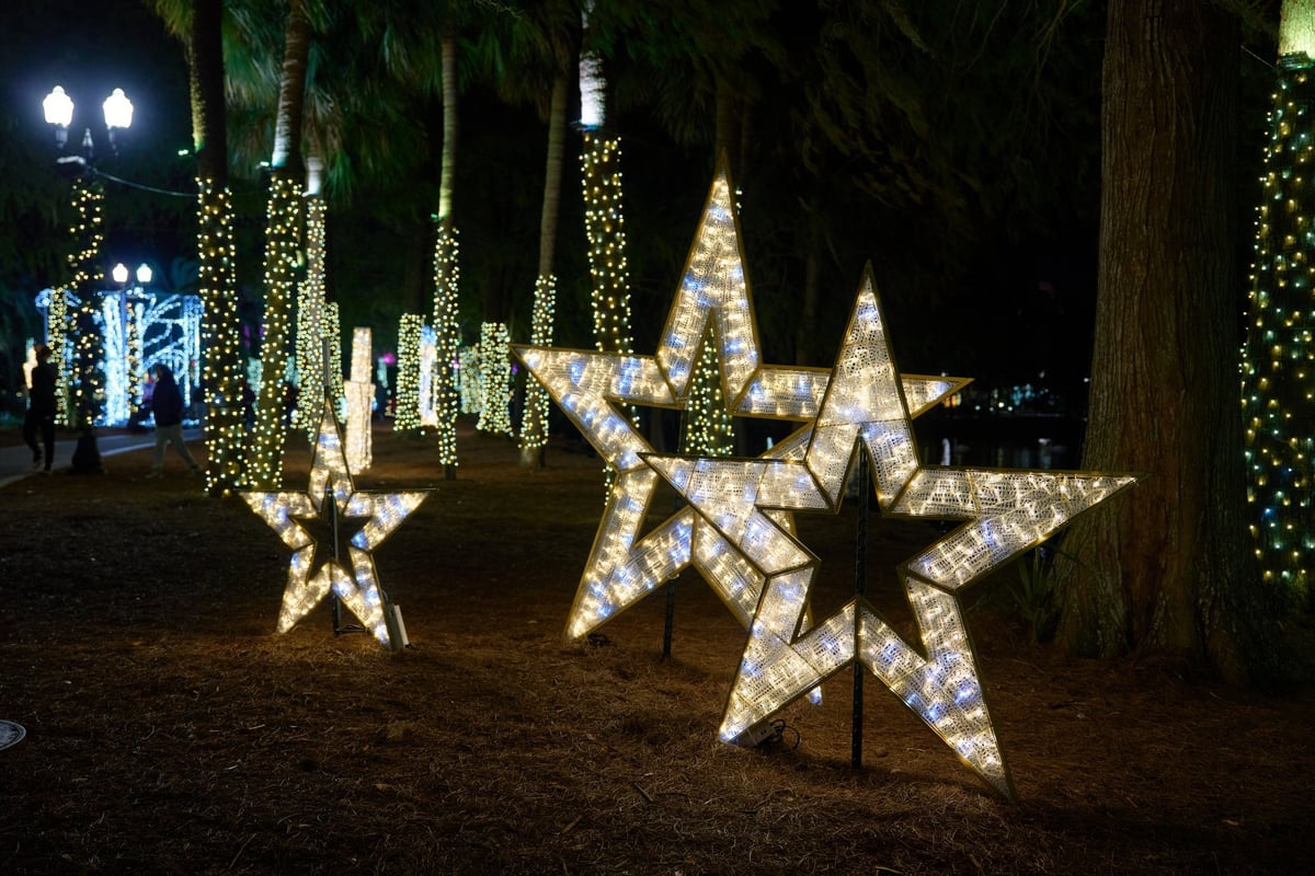 Palm trees wrapped in lights with glowing LED star sculptures in a park